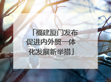 福建厦门发布促进内外贸一体化发展新举措