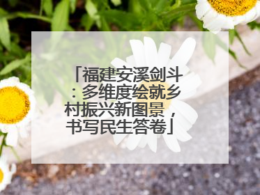 福建安溪剑斗：多维度绘就乡村振兴新图景，书写民生答卷