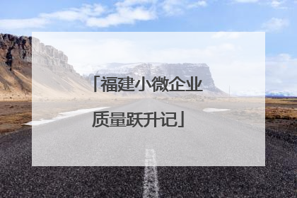 福建小微企业质量跃升记