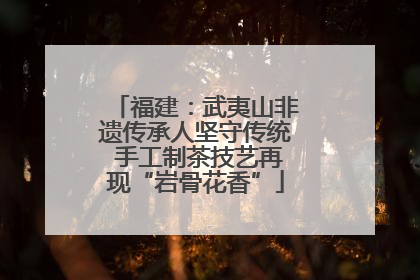 福建：武夷山非遗传承人坚守传统 手工制茶技艺再现“岩骨花香”
