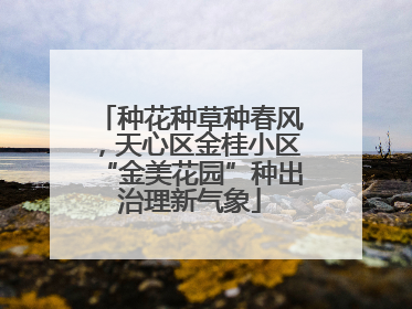 种花种草种春风，天心区金桂小区“金美花园”种出治理新气象