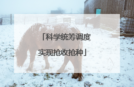 科学统筹调度实现抢收抢种