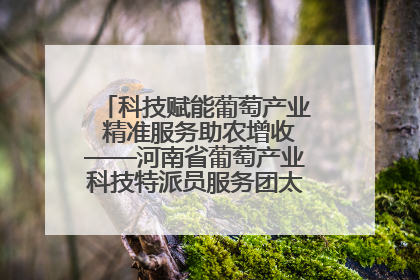 科技赋能葡萄产业 精准服务助农增收——河南省葡萄产业科技特派员服务团太康县科技服务纪实