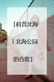 科普北海丨北海公园的合欢