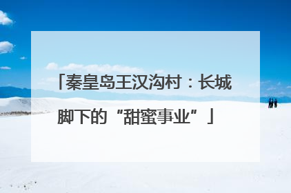 秦皇岛王汉沟村：长城脚下的“甜蜜事业”