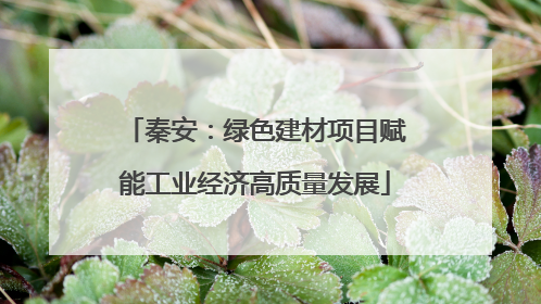 秦安：绿色建材项目赋能工业经济高质量发展