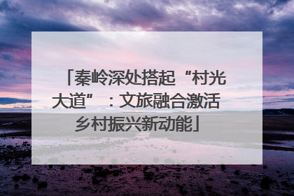秦岭深处搭起“村光大道”：文旅融合激活乡村振兴新动能