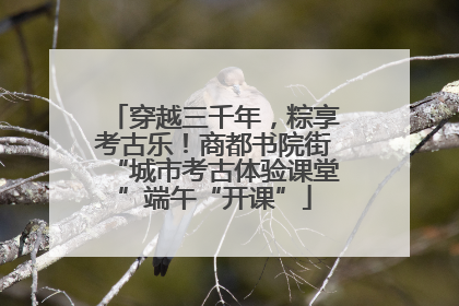 穿越三千年，粽享考古乐！商都书院街“城市考古体验课堂”端午“开课”