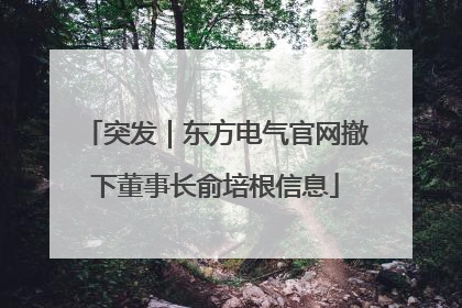 突发｜东方电气官网撤下董事长俞培根信息