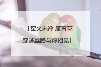窑火未冷 唐青花穿越丝路与你相见
