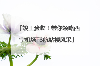 竣工验收！带你领略西宁机场T3航站楼风采