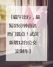 端午出行，最短15分钟直达热门景点！武汉新增12台公交定制车