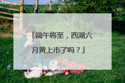 端午将至，西湖六月黄上市了吗？