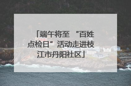 端午将至 “百姓点检日”活动走进枝江市丹阳社区