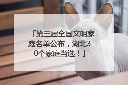 第三届全国文明家庭名单公布，湖北30个家庭当选！