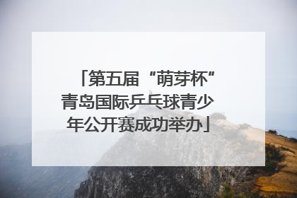 第五届“萌芽杯”青岛国际乒乓球青少年公开赛成功举办