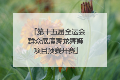第十五届全运会群众展演舞龙舞狮项目预赛开赛