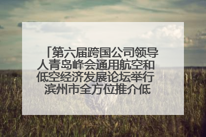 第六届跨国公司领导人青岛峰会通用航空和低空经济发展论坛举行 滨州市全方位推介低空经济发展优势