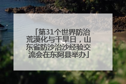 第31个世界防治荒漠化与干旱日，山东省防沙治沙经验交流会在东阿县举办
