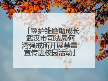 翼护雏鹰助成长 武汉市司法局何湾强戒所开展禁毒宣传进校园活动