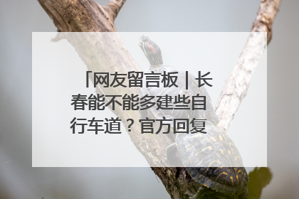 网友留言板｜长春能不能多建些自行车道？官方回复：在建了在建了