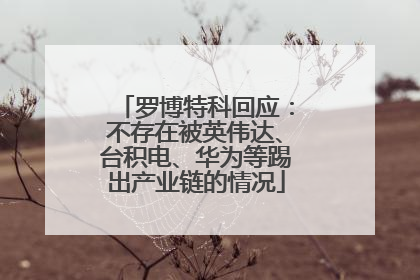 罗博特科回应：不存在被英伟达、台积电、华为等踢出产业链的情况