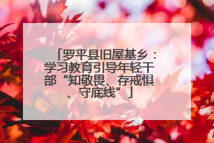 罗平县旧屋基乡：学习教育引导年轻干部“知敬畏、存戒惧、守底线”