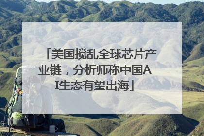 美国搅乱全球芯片产业链，分析师称中国AI生态有望出海