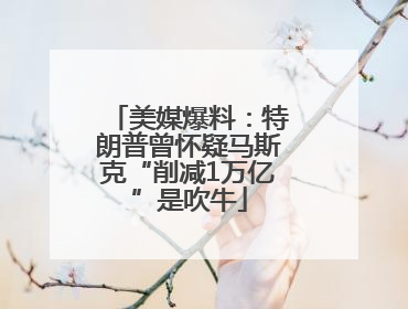 美媒爆料：特朗普曾怀疑马斯克“削减1万亿”是吹牛