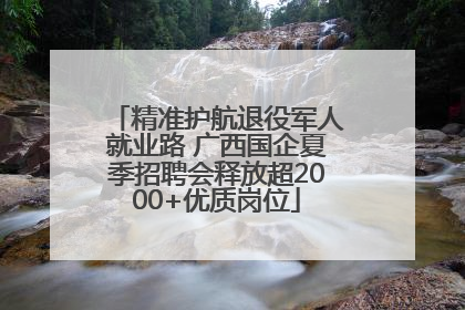 精准护航退役军人就业路 广西国企夏季招聘会释放超2000+优质岗位