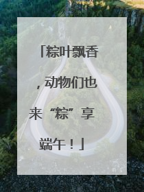 粽叶飘香，动物们也来“粽”享端午！