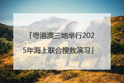 粤港澳三地举行2025年海上联合搜救演习