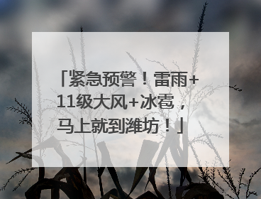 紧急预警！雷雨+11级大风+冰雹，马上就到潍坊！