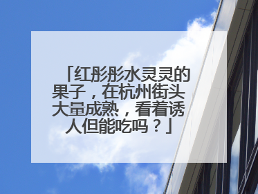 红彤彤水灵灵的果子，在杭州街头大量成熟，看着诱人但能吃吗？