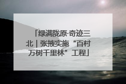 绿满陇原·奇迹三北｜张掖实施“百村万树千里林”工程