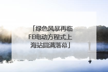 绿色风暴再临 FE电动方程式上海站圆满落幕