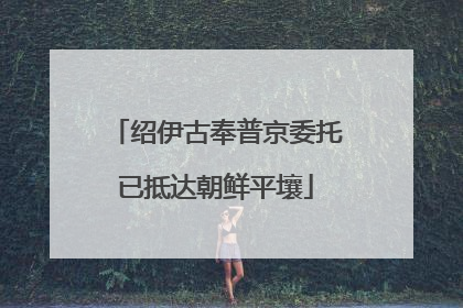 绍伊古奉普京委托已抵达朝鲜平壤