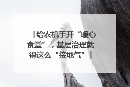给农机手开“暖心食堂”，基层治理就得这么“接地气”