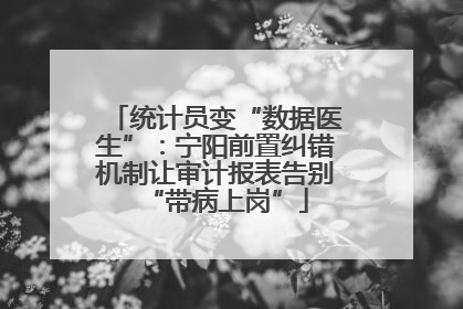 统计员变“数据医生”：宁阳前置纠错机制让审计报表告别“带病上岗”