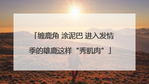 缠鹿角 涂泥巴 进入发情季的雄鹿这样“秀肌肉”