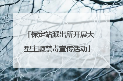 保定站派出所开展大型主题禁毒宣传活动