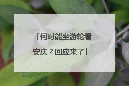 何时能坐游轮看安庆？回应来了