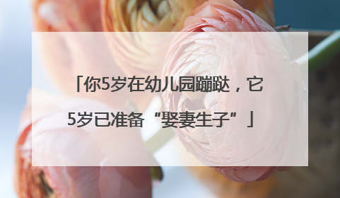 你5岁在幼儿园蹦跶，它5岁已准备“娶妻生子”