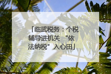 临武税务：个税辅导进机关 “依法纳税”入心田