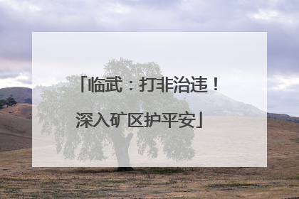 临武：打非治违！深入矿区护平安