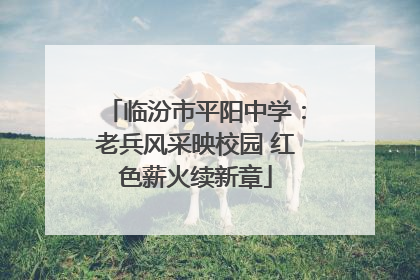 临汾市平阳中学：老兵风采映校园 红色薪火续新章