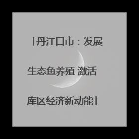 丹江口市：发展生态鱼养殖 激活库区经济新动能