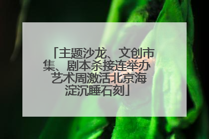 主题沙龙、文创市集、剧本杀接连举办 艺术周激活北京海淀沉睡石刻