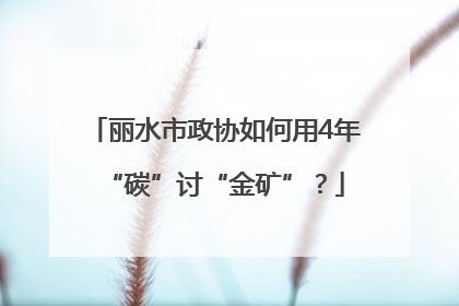 丽水市政协如何用4年“碳”讨“金矿”？