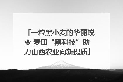 一粒黑小麦的华丽蜕变 麦田“黑科技”助力山西农业向新提质